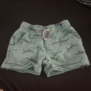 Kids Shark Print Shorts - Green